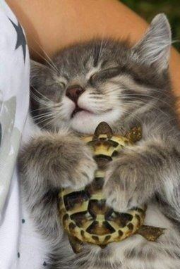 ���� 6: ������� ���