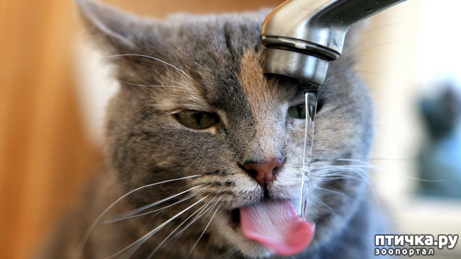 ���� 30: ���������� �����