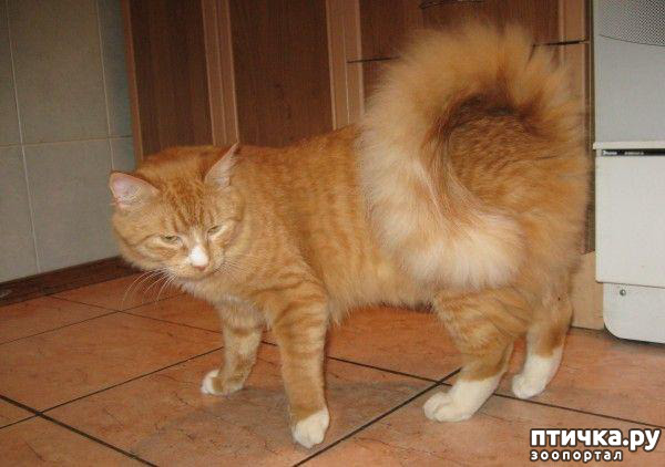 ���� 31: ���������� �����