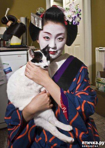 ���� 34: ���������� �����