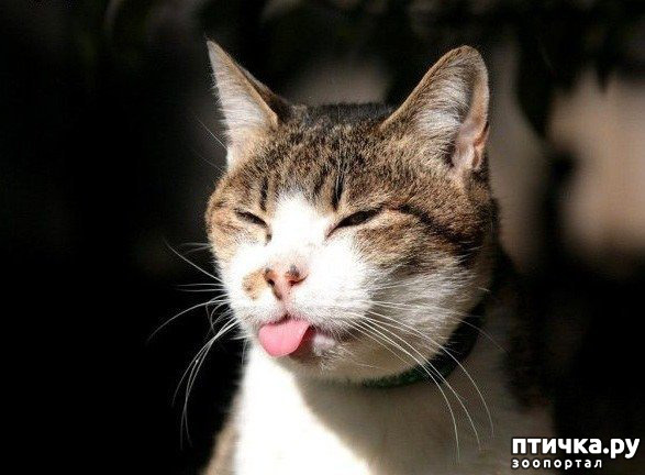 ���� 35: ���������� �����