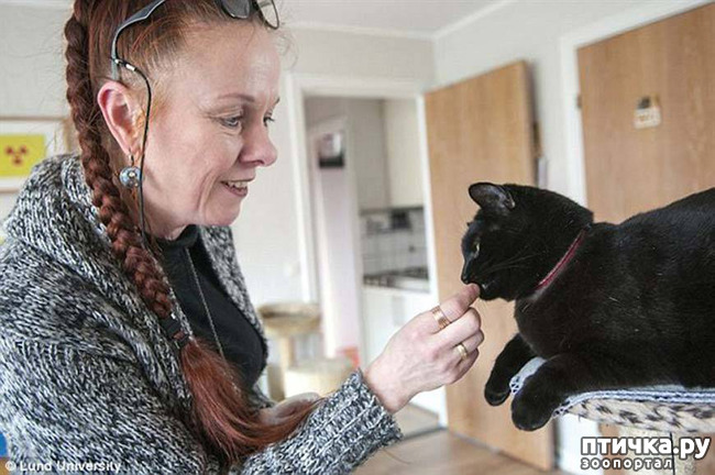 ���� 37: ���������� �����