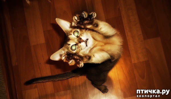 ���� 38: ���������� �����