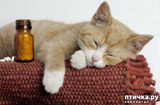 ���� 41: ���������� �����