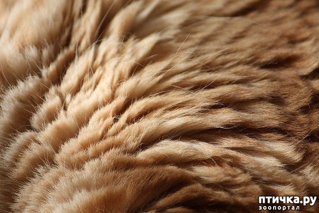 ���� 43: ���������� �����