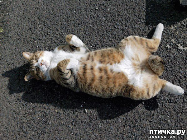 ���� 44: ���������� �����