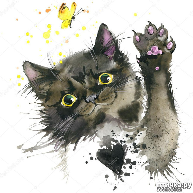 ���� 45: ���������� �����