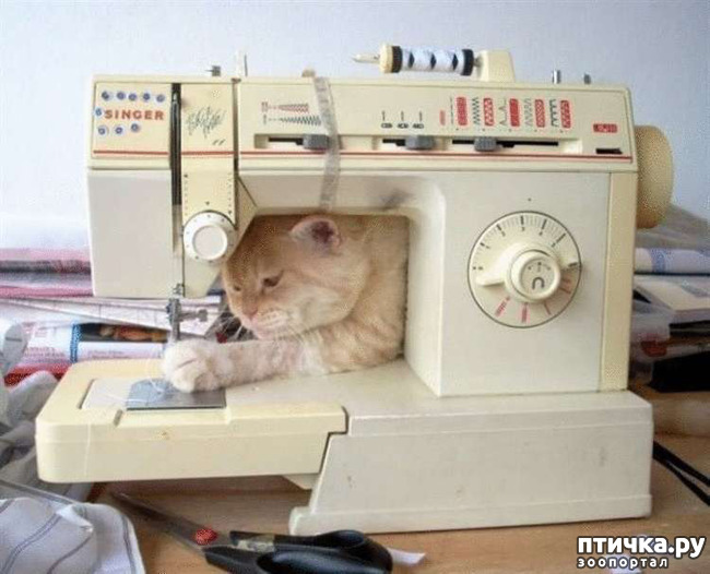 ���� 2: ���� - ����� ������ ��������� �� ���������