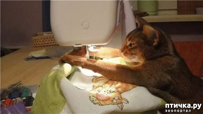 ���� 3: ���� - ����� ������ ��������� �� ���������