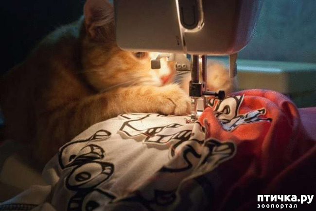 ���� 4: ���� - ����� ������ ��������� �� ���������