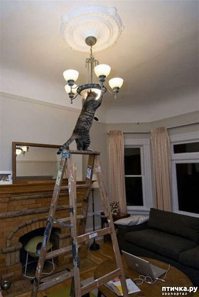 ���� 5: ���� - ����� ������ ��������� �� ���������