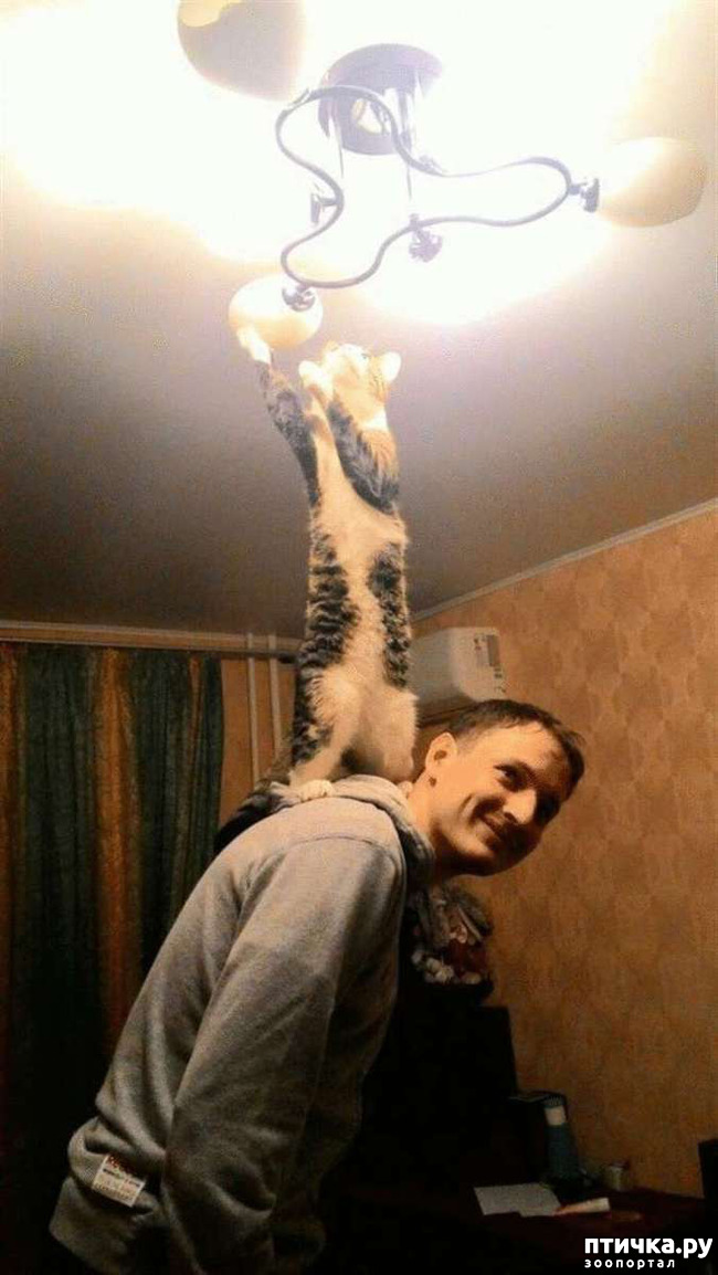 ���� 6: ���� - ����� ������ ��������� �� ���������