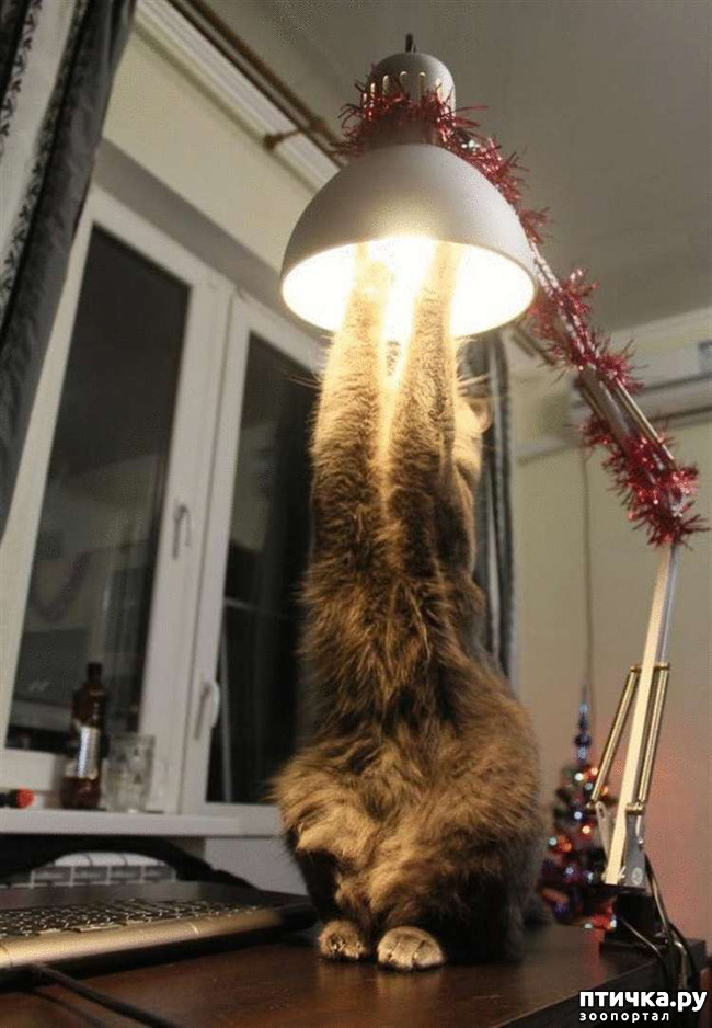 ���� 7: ���� - ����� ������ ��������� �� ���������