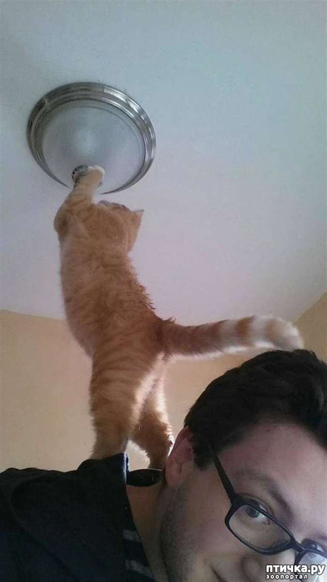 ���� 8: ���� - ����� ������ ��������� �� ���������