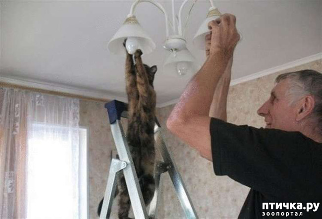 ���� 9: ���� - ����� ������ ��������� �� ���������