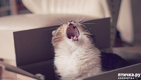 ���� 2: ���������� �����