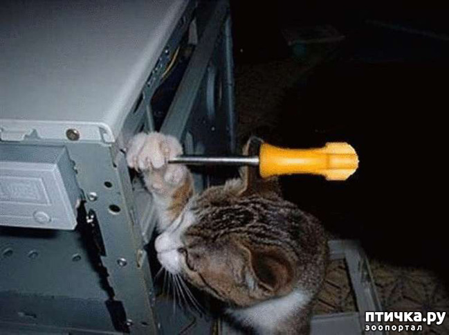 ���� 11: ���� - ����� ������ ��������� �� ���������