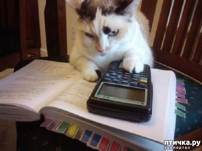 ���� 13: ���� - ����� ������ ��������� �� ���������