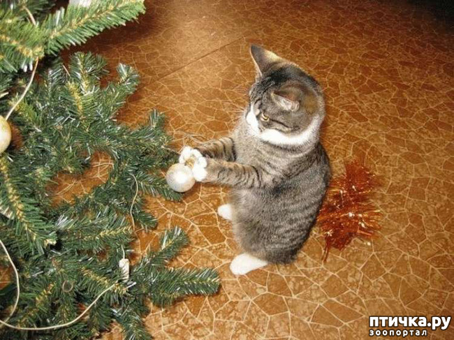 ���� 14: ���� - ����� ������ ��������� �� ���������