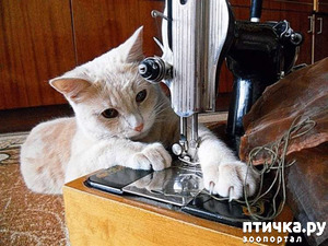 ����: ���� - ����� ������ ��������� �� ���������