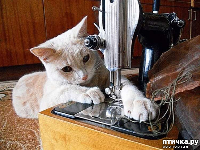 ���� 1: ���� - ����� ������ ��������� �� ���������