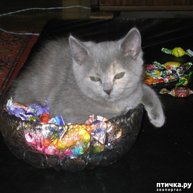 ���� 3: ���������� �����