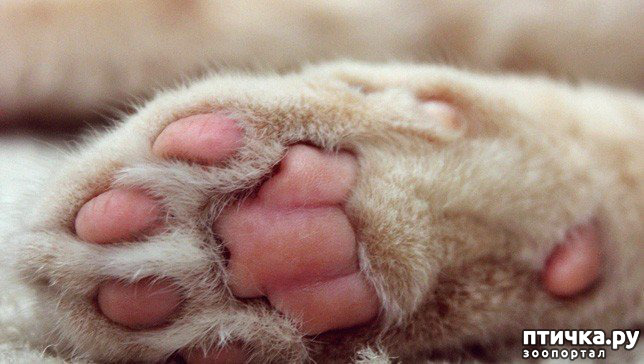 ���� 5: ���������� �����