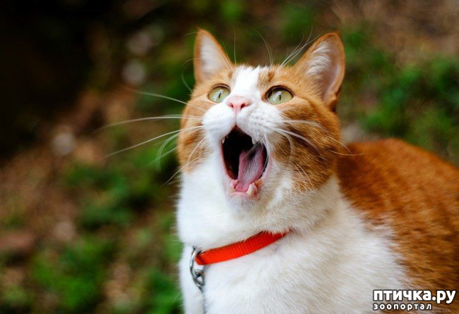 ���� 6: ���������� �����