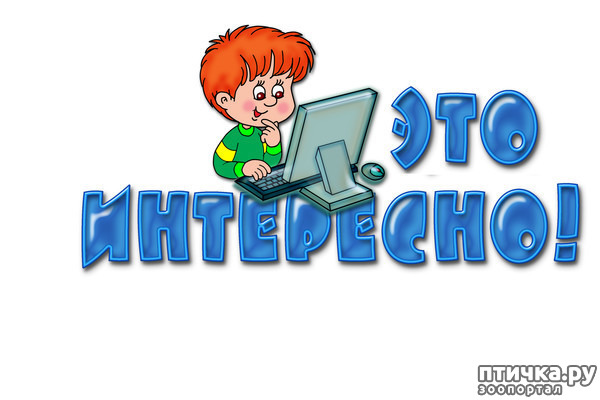 ���� 1: ���������� �����