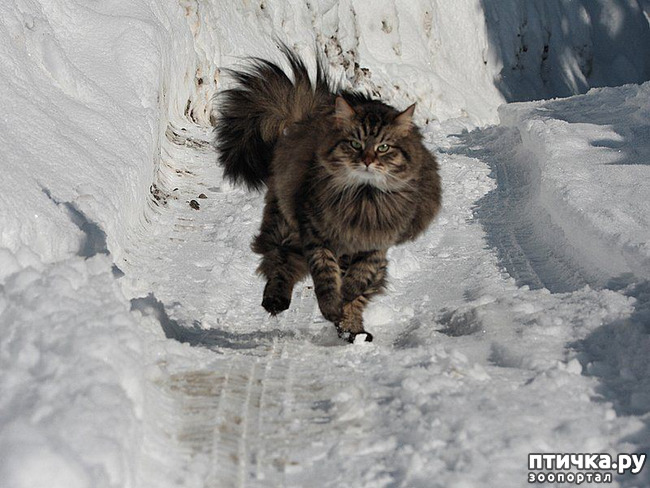 ���� 7: ���������� �����