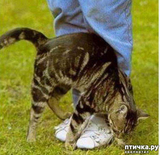 ���� 10: ���������� �����