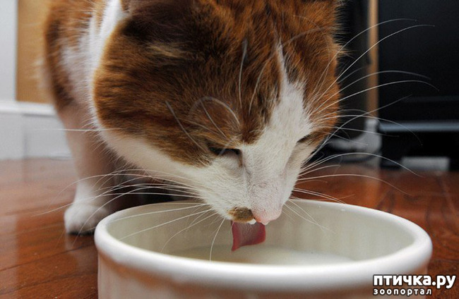 ���� 11: ���������� �����