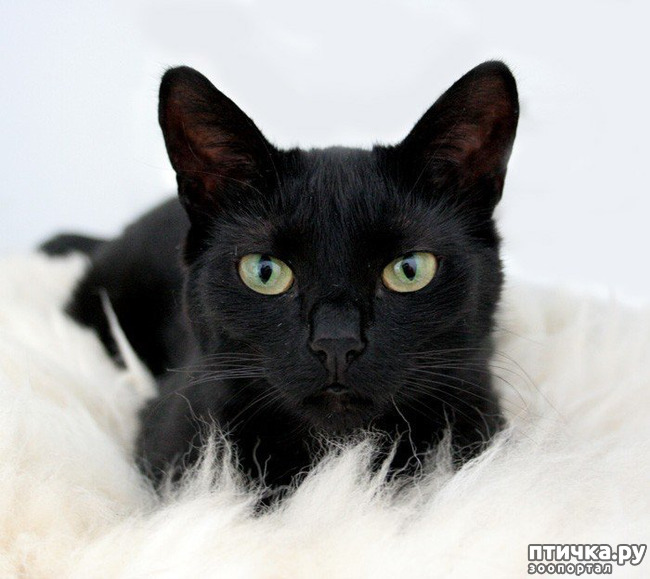 ���� 12: ���������� �����