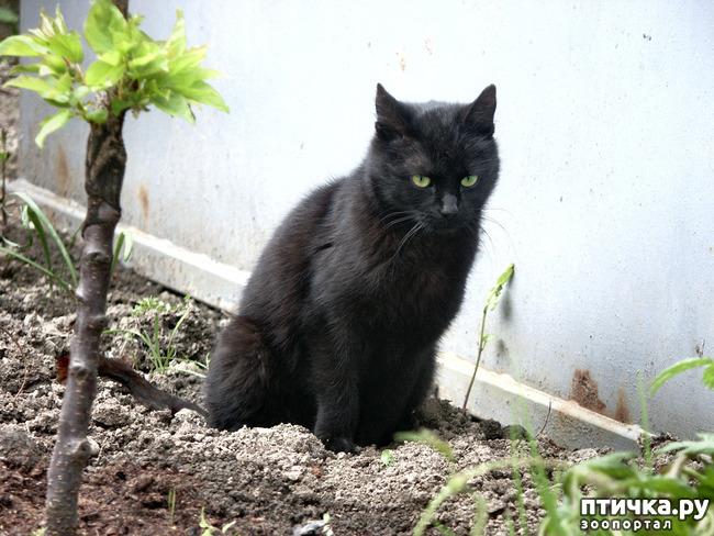 ���� 13: ���������� �����