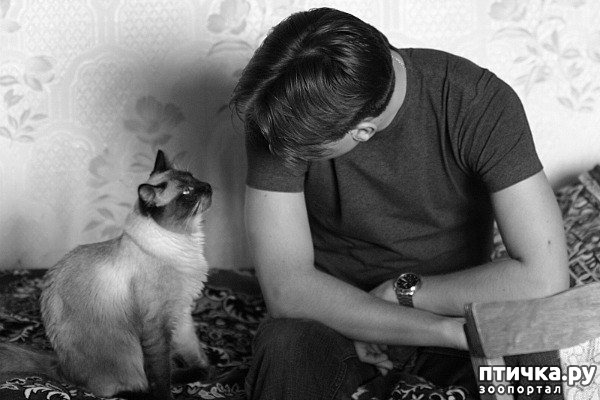 ���� 14: ���������� �����