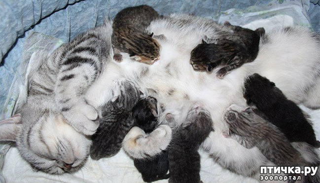 ���� 15: ���������� �����