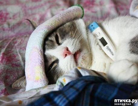 ���� 16: ���������� �����