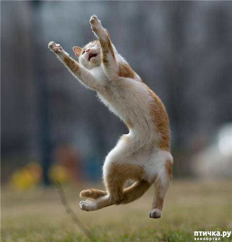 ���� 17: ���������� �����