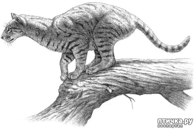 ���� 18: ���������� �����