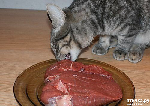 ���� 20: ���������� �����