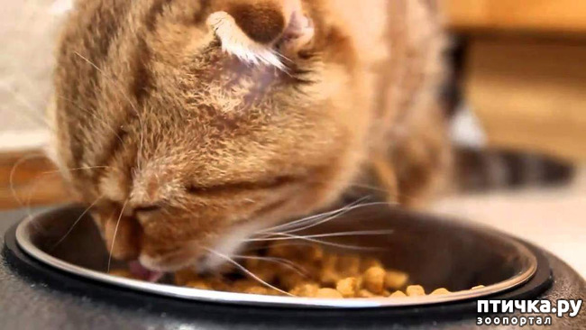 ���� 22: ���������� �����