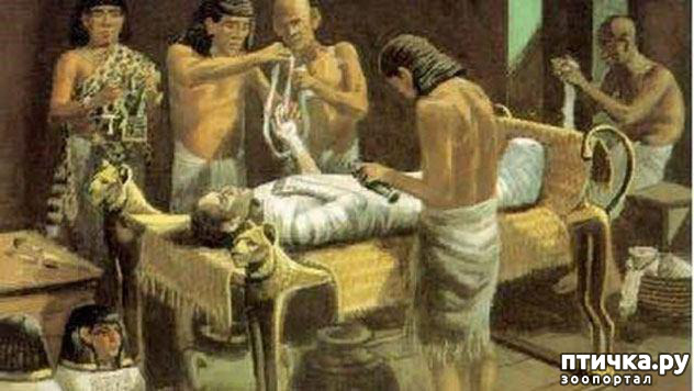 ���� 23: ���������� �����