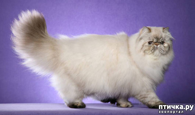 ���� 24: ���������� �����