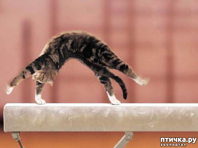 ���� 27: ���������� �����