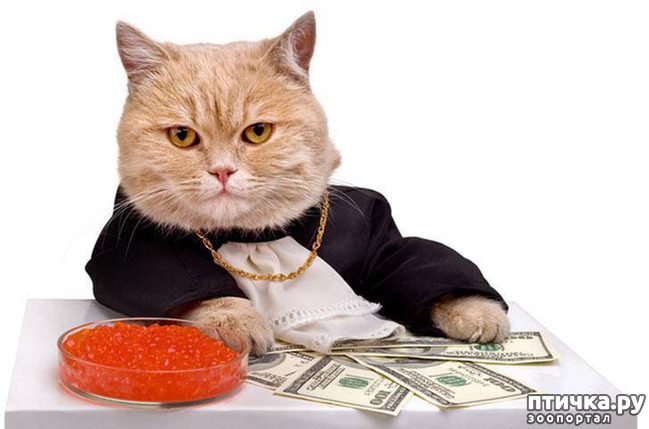 ���� 29: ���������� �����