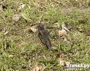 ����: ���� �����