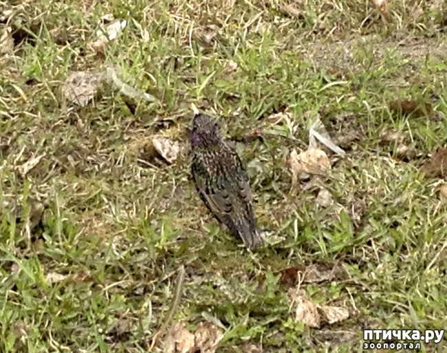 ���� 1: ���� �����