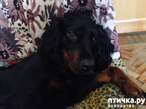 ����: ����� ������� ����� �� ������ �������� ����������...