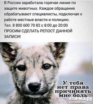 ����: ������� ����� �� ������ ��������