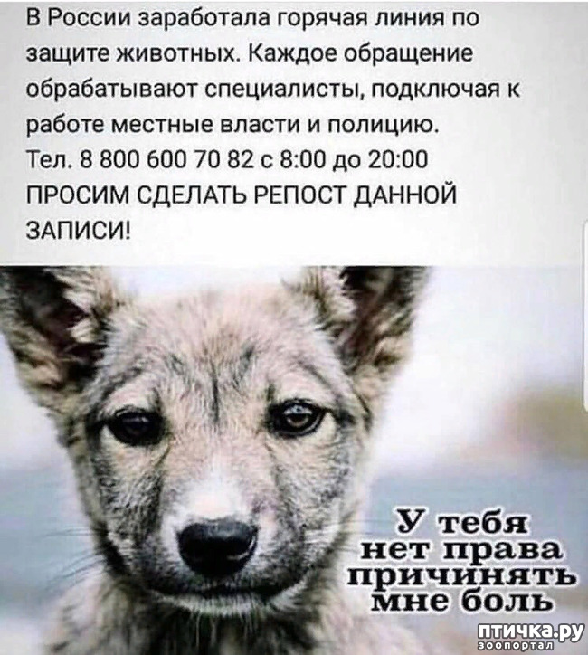 ���� 1: ������� ����� �� ������ ��������